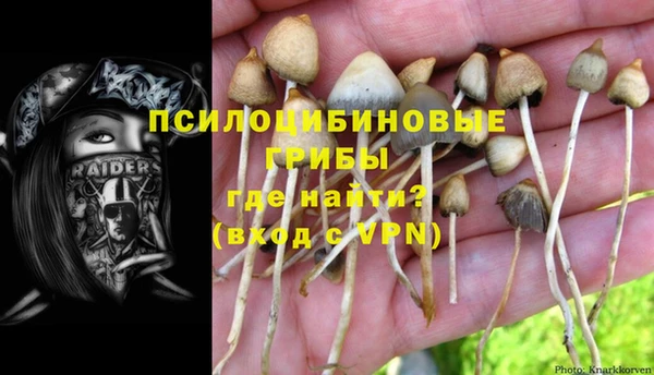 кокаин премиум Белокуриха