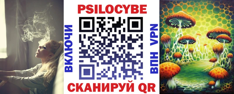 Галлюциногенные грибы Cubensis  omg   площадка наркотические препараты  Плёс 